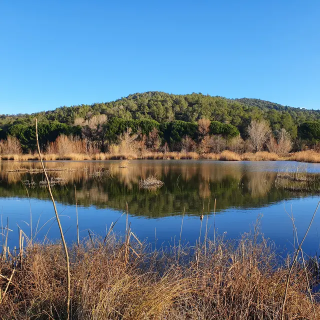 Etangs de la Sauvebonne à Hyères