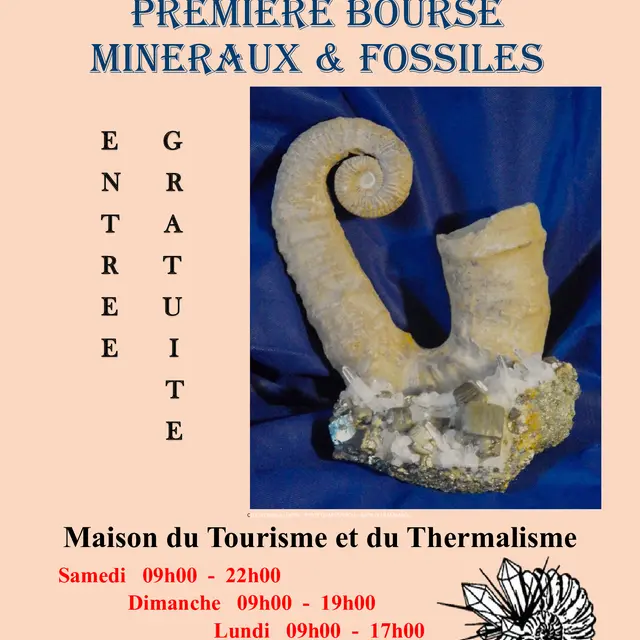 Exposition et Bourse aux Minéraux et Fossiles_Cazaubon