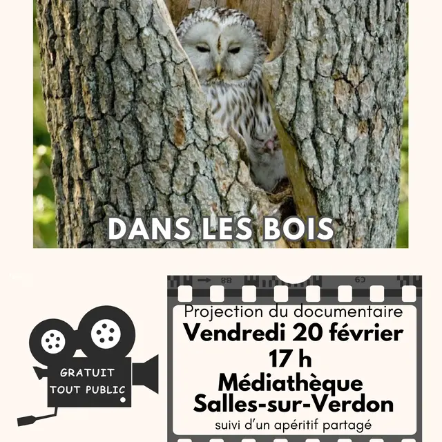 Projection du film