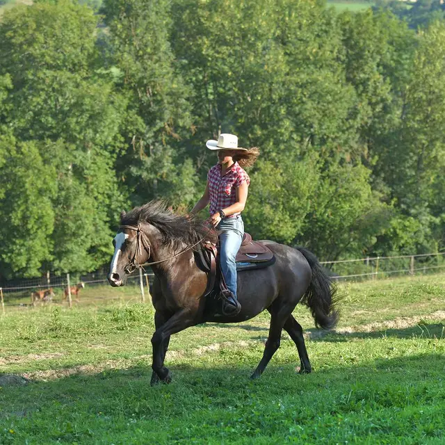 Randonnée équestre à Ferrières-sur-Sichon