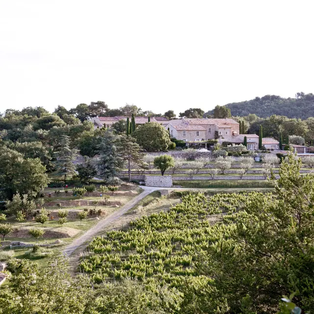Chêne Bleu