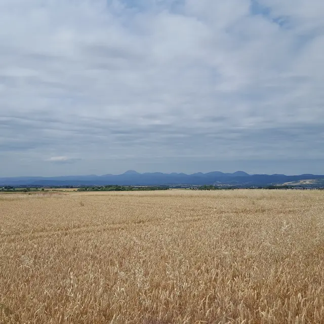 Randonnée_Art roman et terres noires_Thuret-4