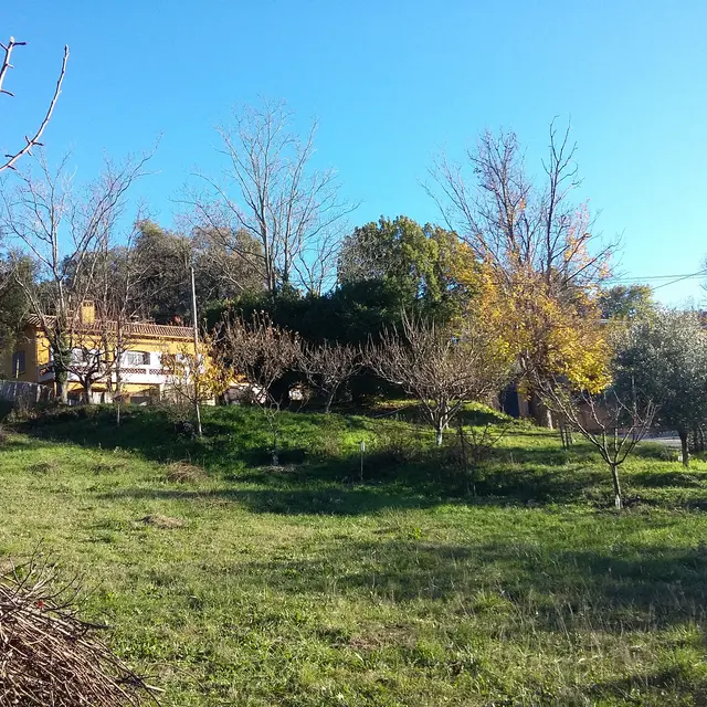 Location saisonnière à Collobrières