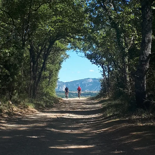 Gravel Bike - Valensole