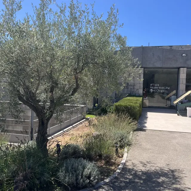 Chagall à l'oeuvre - Un prêt d'exception au musée_Nice