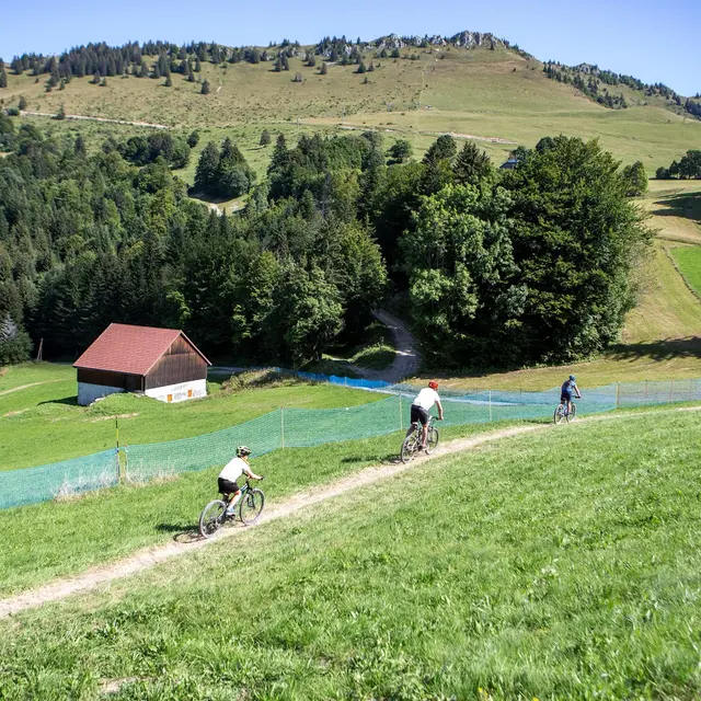 Parcours VTT Col du Golaron_Habère-Poche
