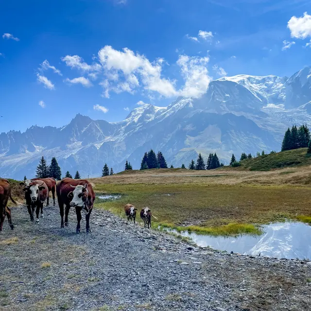Le Tour de la Tête de Charme au départ du col de Voza