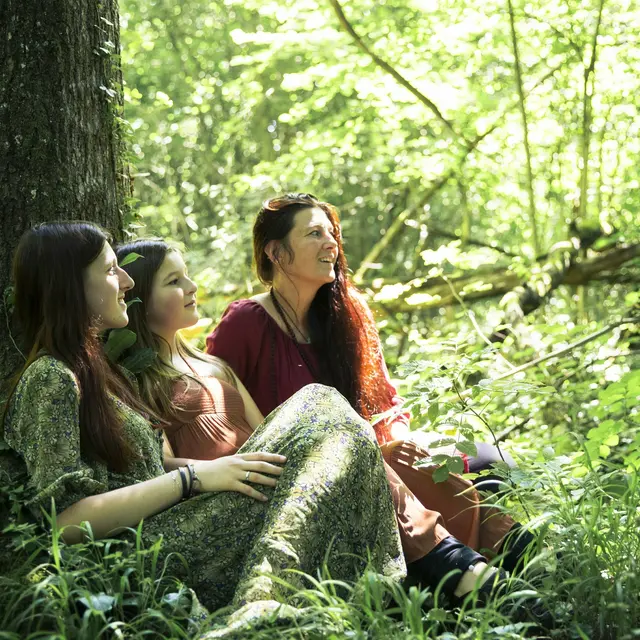 Balade ressourçante au cœur des arbres
