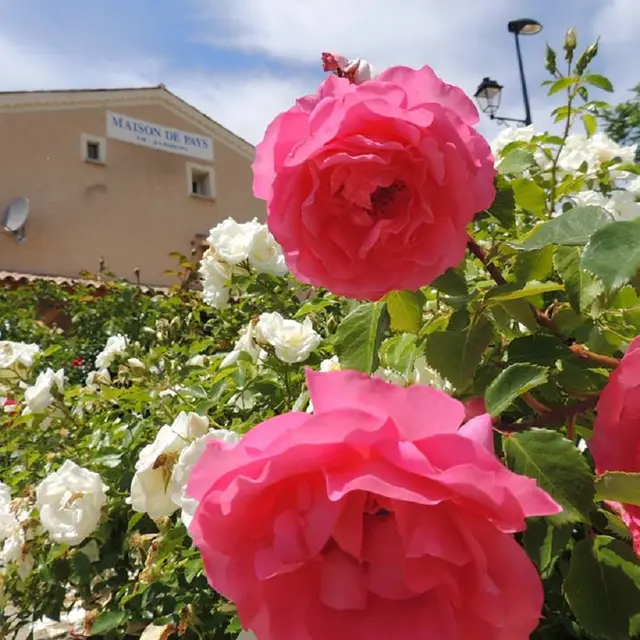 Maison de Pays du Jabron