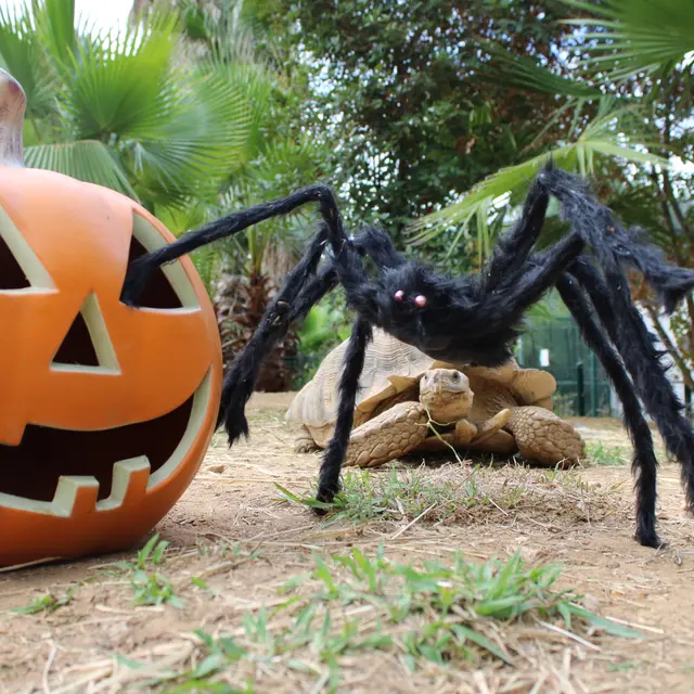 Visite guidée du Jardin Zoologique Tropical à La Londe les Maures