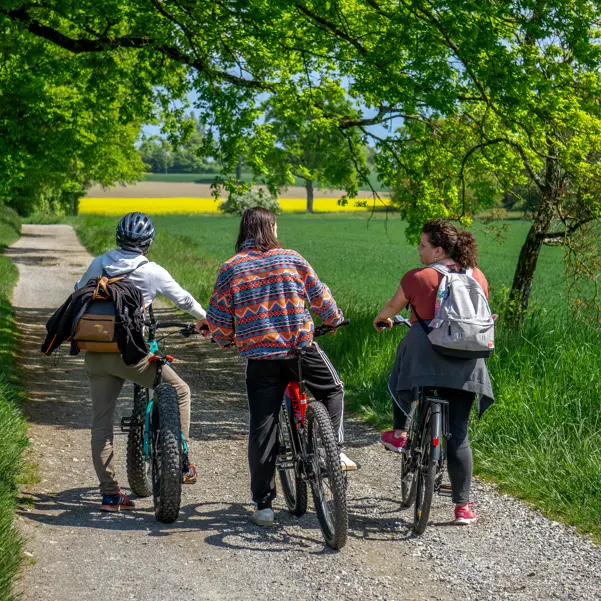 Location de Vélos Electriques_Thonon-les-Bains