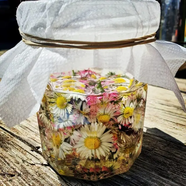 Atelier Plantes médicinales - Festival du Film Nature_Saint-Gervais-les-Bains