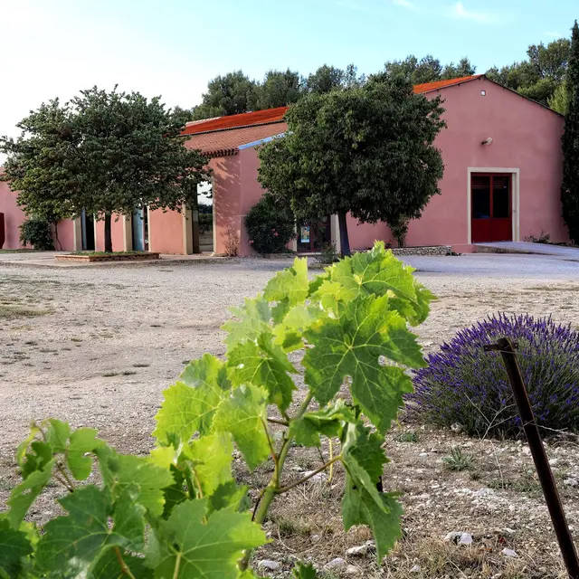 Domaine Camaïssette