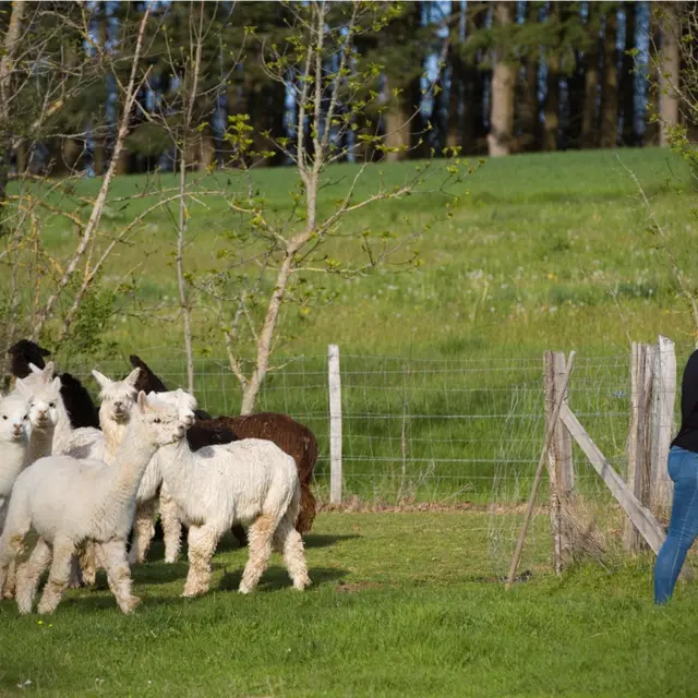 De ferme en ferme - La Ferme de Kalmia_Cottance
