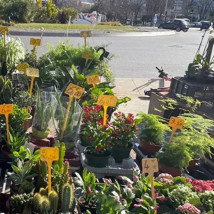 Marché aux fleurs Grand pavois