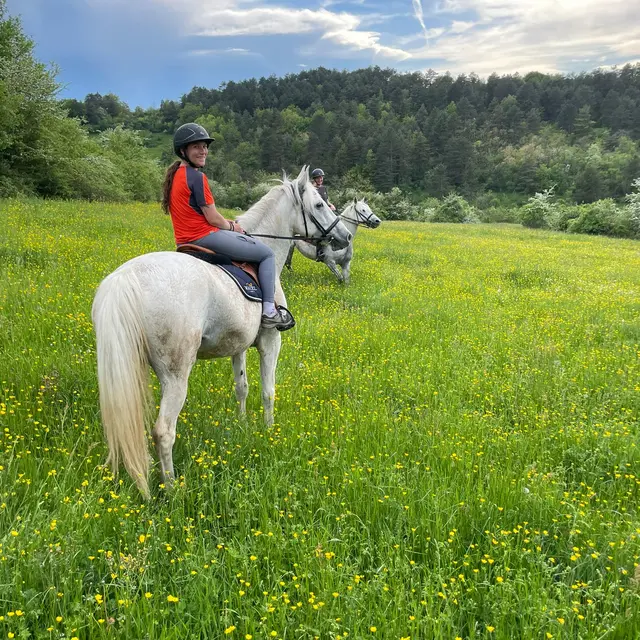Balade ou randonnée équestre