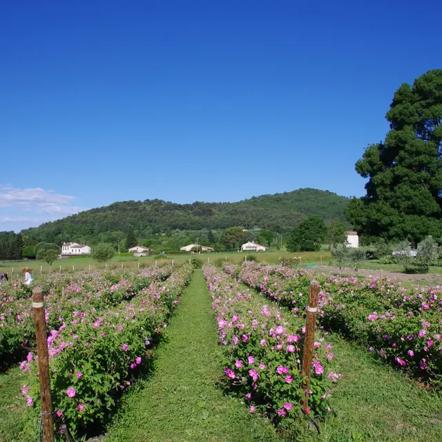 Le Clos de Callian