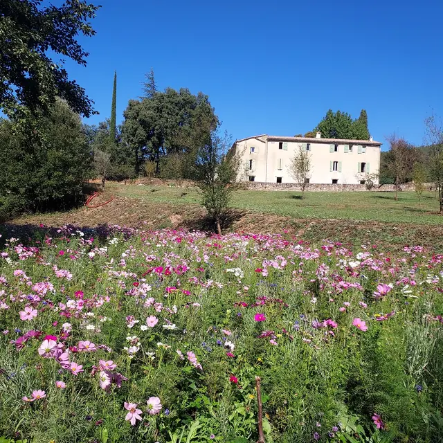 Chambre du Mas de Falguière-1