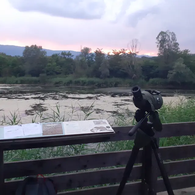 Animation nature: A la rencontre du Castor_Pougny