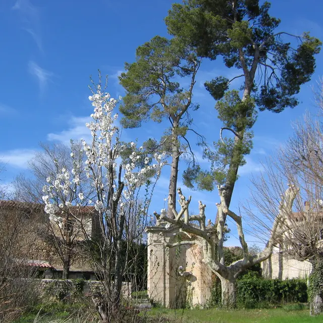 Le grand jardin