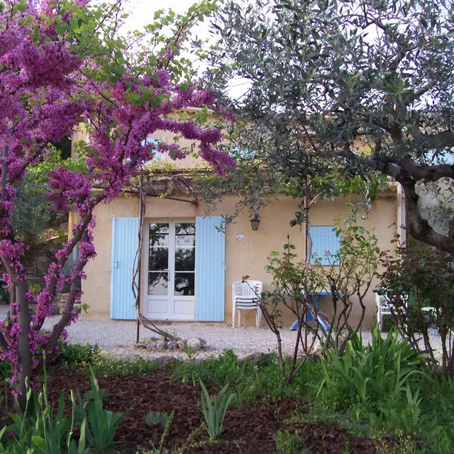 Les Gîtes de Clairier - Amandiers - Le Barroux