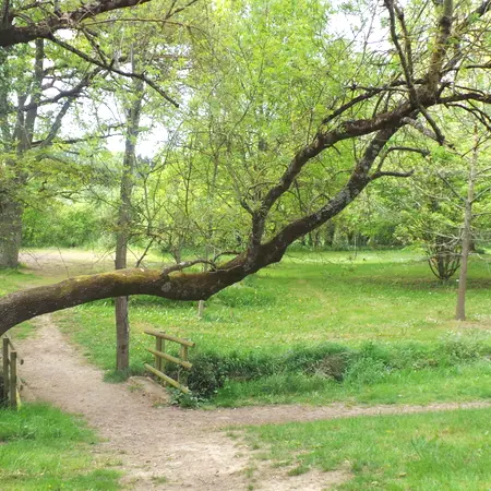 Arboretum de Charuau