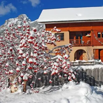 hiver