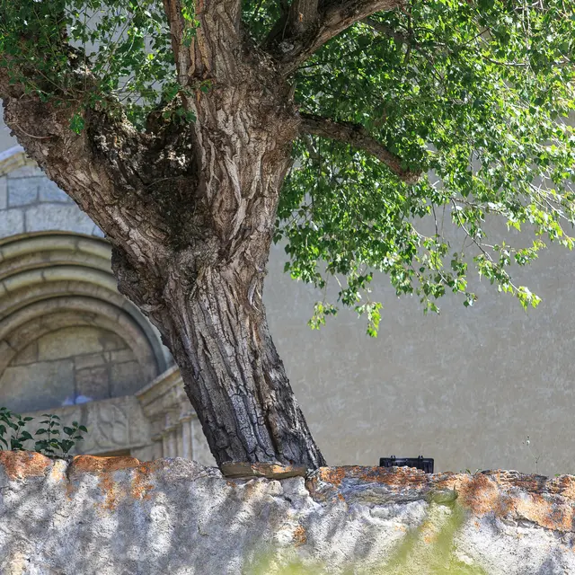 Eglise de Saint Marcellin