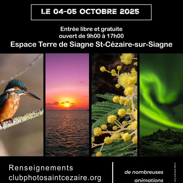 Affiche Festifoto 2025