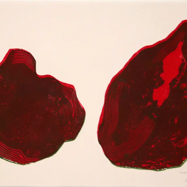 Exposition : Coupé, oublié, enchanté
