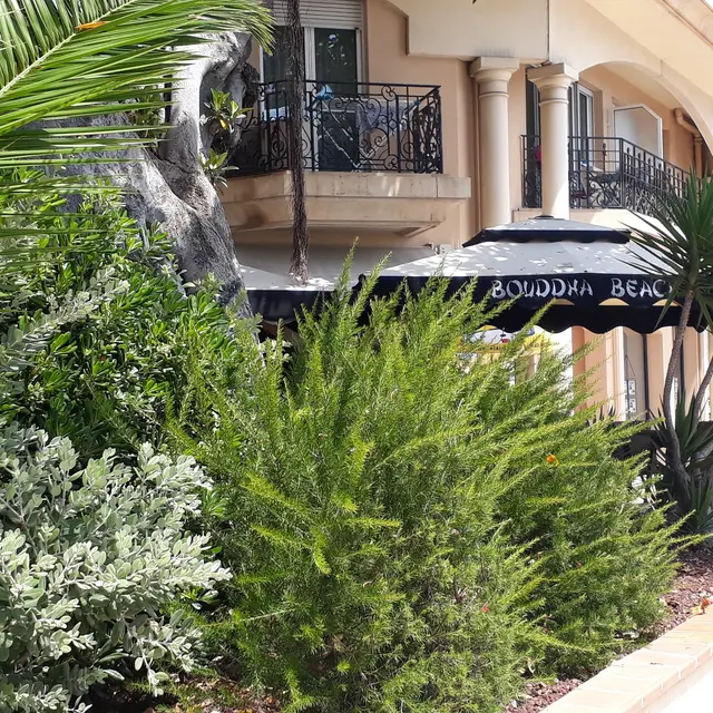 Restaurant Bouddha Beach