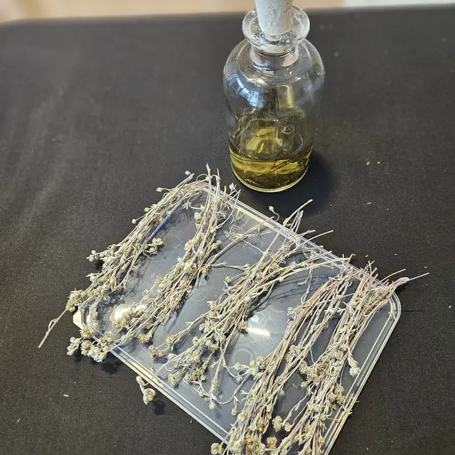 Atelier de fabrication de Génépi