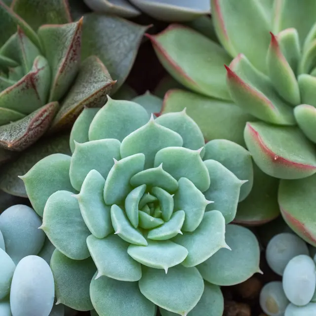 Atelier pratique : Structure insolite_Annecy