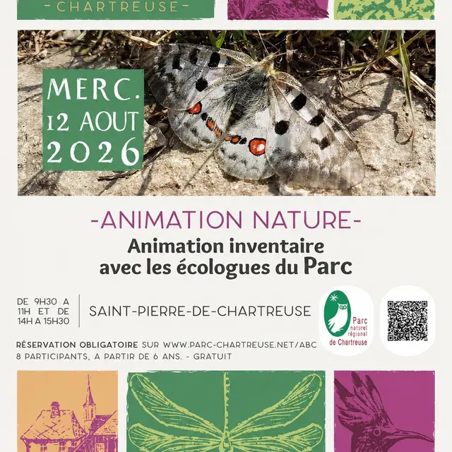 affiche animation