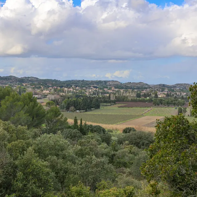 Randonnée entre vignes et chapelles_Roquemaure