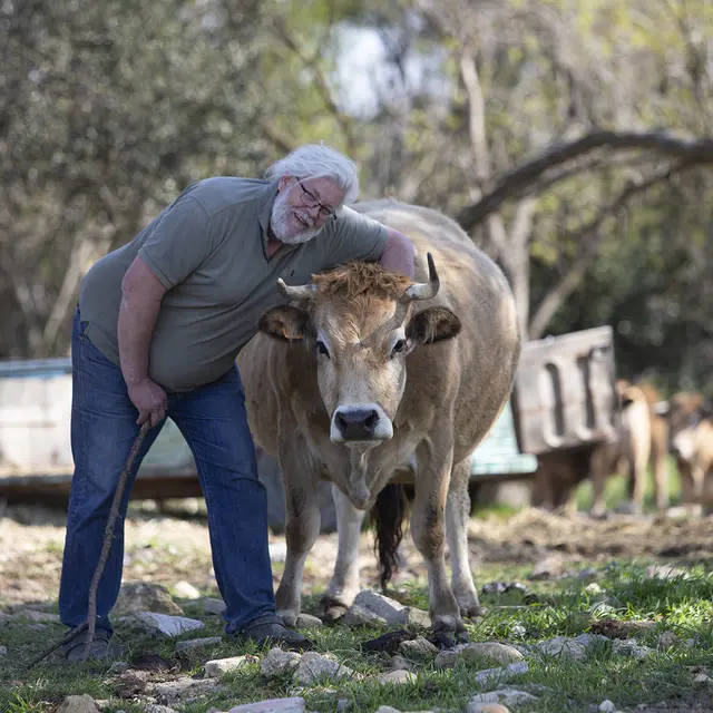 Fredéric Fano, bambouseraie de Sulauze, foin de Crau et vache aubrac