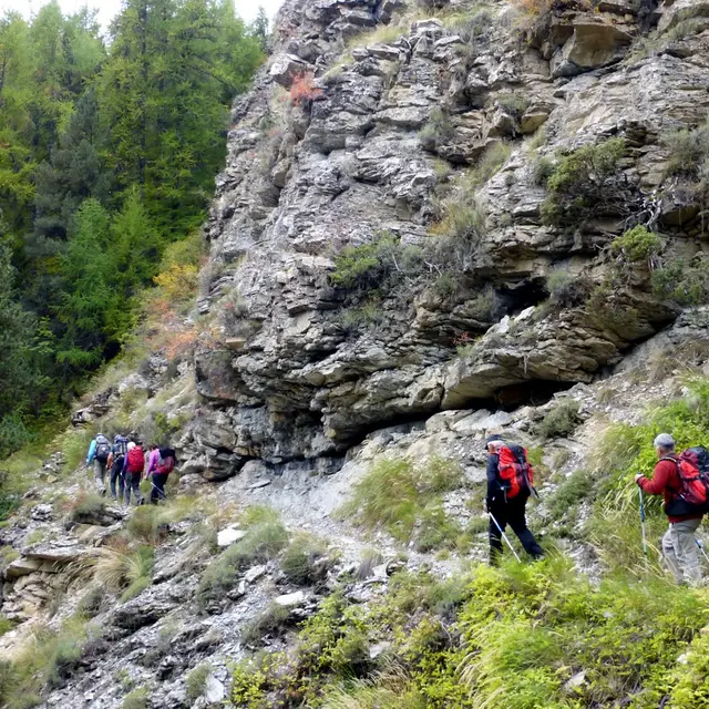 Panoramique de Chasse