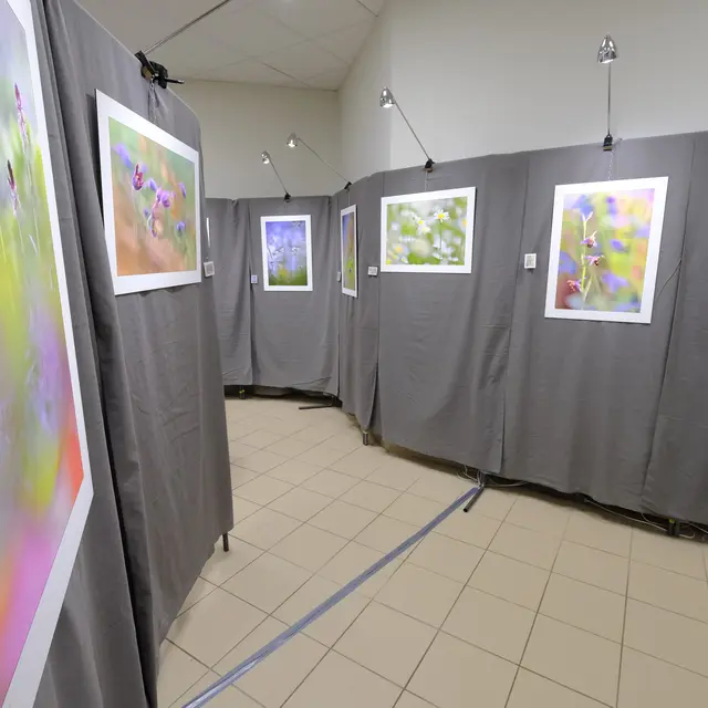 Festival Instants Sauvages 74