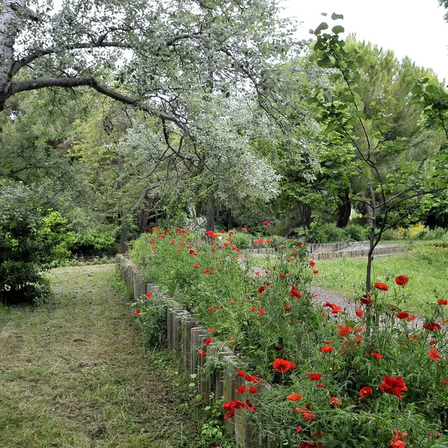 Parc Central de Bonneveine - Ville de Marseille