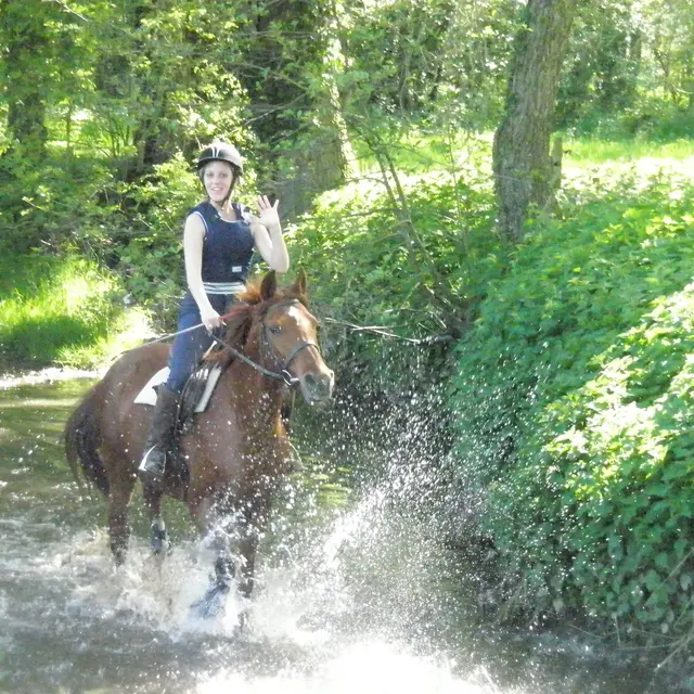 Randonnée équestre rafraissante