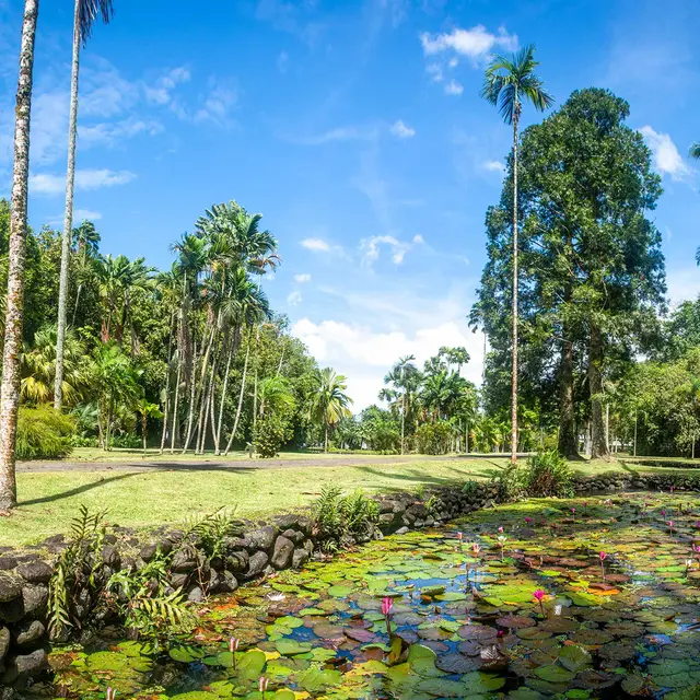 Jardin Botanique Harrison Smith - Tahiti Tourisme