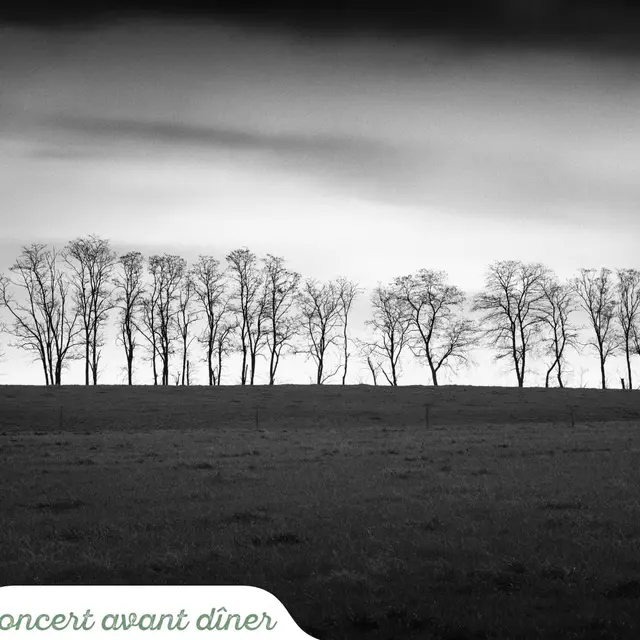 Concert avant dîner : Ça vient de là, ça devient du blues_Montluçon