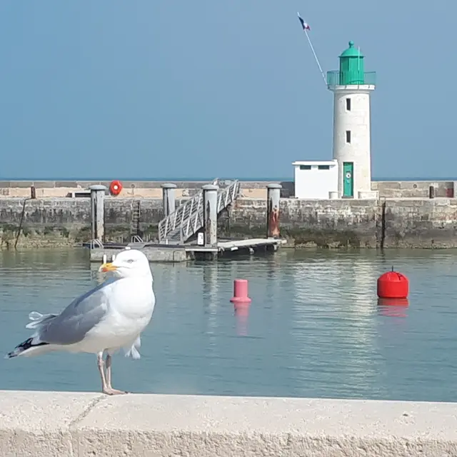 Vue face au phare