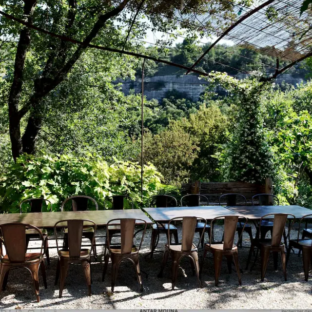 Déjeuner dans la nature !