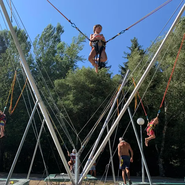 Trampoline Bungy