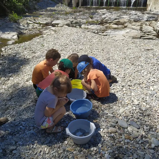 Animation Nature : Le Petit Peuple de l'Eau_Les Plantiers