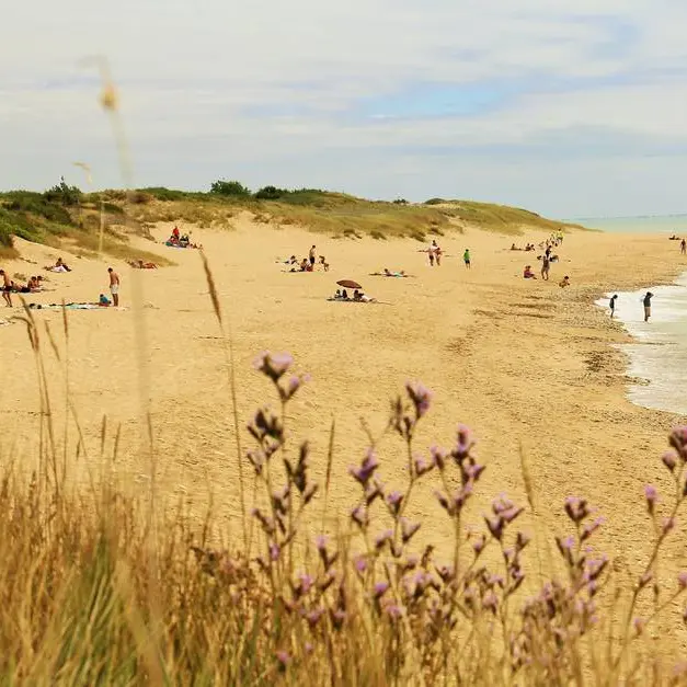 Plage de la Salée
