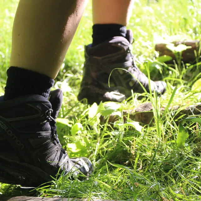 Marche de printemps_Saint-Martin-Lestra