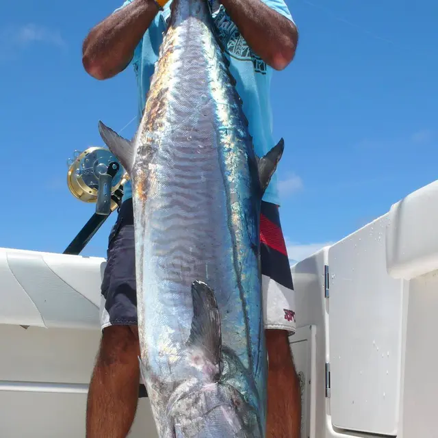 Sortie pêche - New Caledonia Fishing Safaris_Poum