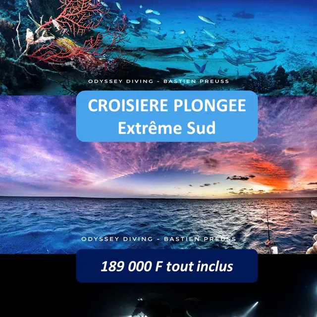 Croisière de Plongée Grand Lagon Sud_Yaté